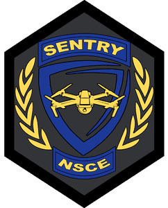 Sentry UAV